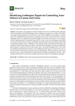 Identifying Leafhopper Targets for Controlling Aster Yellows in Carrots and Celery