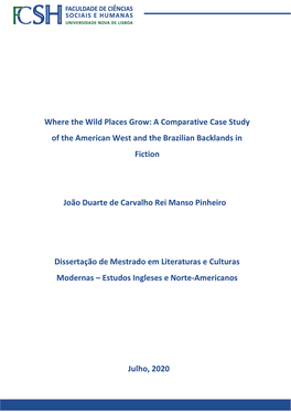 Where the Wild Places Grow: a Comparative Case Study of the American West and the Brazilian Backlands in Fiction