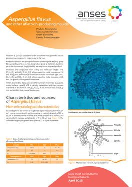 Aspergillus Flavus and Other Aflatoxin-Producing Moulds Phylum: Ascomycota Class: Eurotiomycetes Order: Eurotiales Family: Trichocomaceae