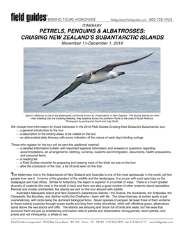 Petrels, Penguins & Albatrosses: Cruising New Zealand's Subantarctic Islands