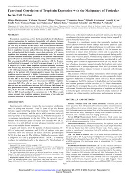 Functional Correlation of Trophinin Expression with the Malignancy of Testicular Germ Cell Tumor