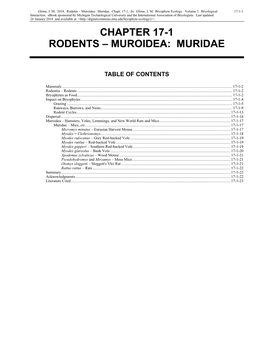 Rodents – Muroidea: Muridae