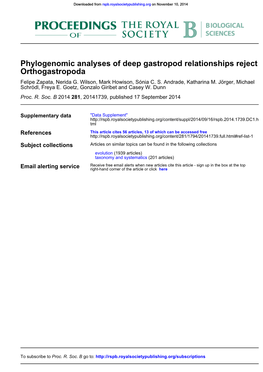 Orthogastropoda Phylogenomic Analyses of Deep Gastropod