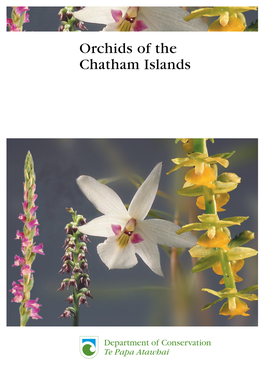 Orchids of the Chatham Islands Orchids of the Chatham Islands