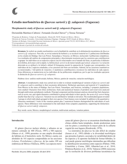 Estudio Morfométrico De Quercus Sartorii Y Q. Xalapensis (Fagaceae)