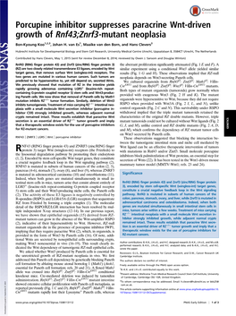 Porcupine Inhibitor Suppresses Paracrine Wnt-Driven Growth of Rnf43;Znrf3-Mutant Neoplasia