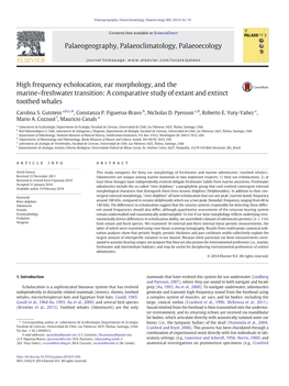 High Frequency Echolocation, Ear Morphology, and the Marine–Freshwater Transition: a Comparative Study of Extant and Extinct Toothed Whales