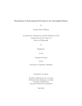 Mechanisms of Transcriptional Precision in the Drosophila Embryo