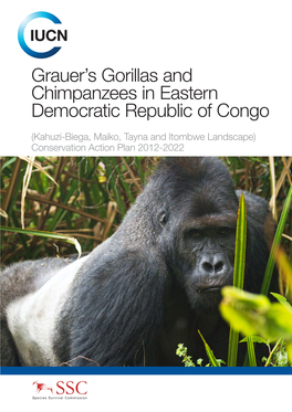 Grauer's Gorillas and Chimpanzees in Eastern Democratic Republic Of