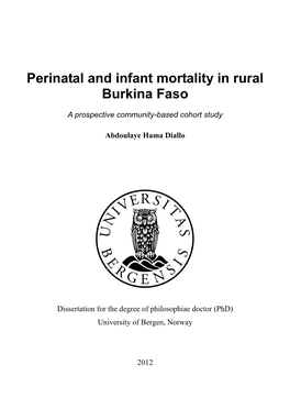 Perinatal and Infant Mortality in Rural Burkina Faso