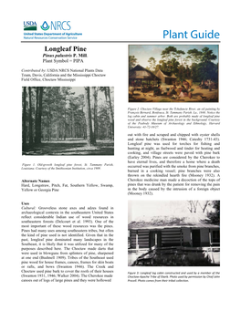 Plant Guide for Longleaf Pine