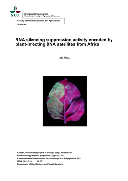 RNA Silencing Suppression Activity Encoded by Plant-Infecting DNA Satellites from Africa