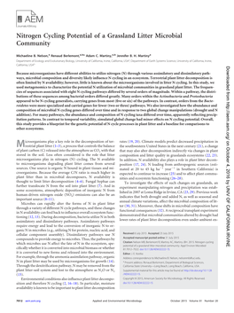 Nitrogen Cycling Potential of a Grassland Litter Microbial Community