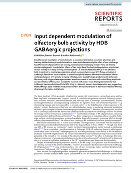 Input Dependent Modulation of Olfactory Bulb Activity by HDB Gabaergic Projections Erik Böhm, Daniela Brunert & Markus Rothermel ✉