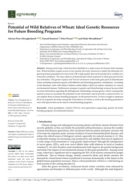 Potential of Wild Relatives of Wheat: Ideal Genetic Resources for Future Breeding Programs