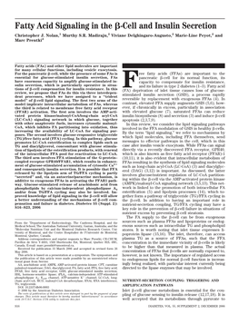 Fatty Acid Signaling in the -Cell and Insulin Secretion