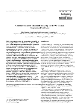 Characteristics of Thiamine Uptake by the Bewo Human Trophoblast Cell Line