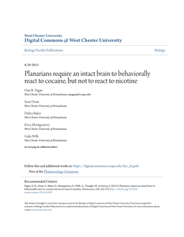 Planarians Require an Intact Brain to Behaviorally React to Cocaine, but Not to React to Nicotine Oné R