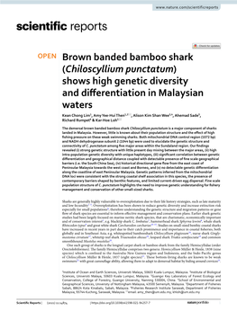 Brown Banded Bamboo Shark (Chiloscyllium Punctatum) Shows