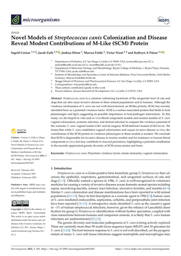 Novel Models of Streptococcus Canis Colonization and Disease Reveal Modest Contributions of M-Like (SCM) Protein