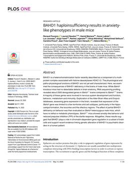 BAHD1 Haploinsufficiency Results in Anxiety-Like Phenotypes in Male Mice