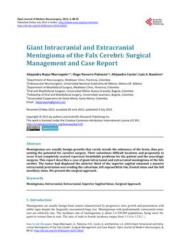 Giant Intracranial and Extracranial Meningioma of the Falx Cerebri: Surgical Management and Case Report