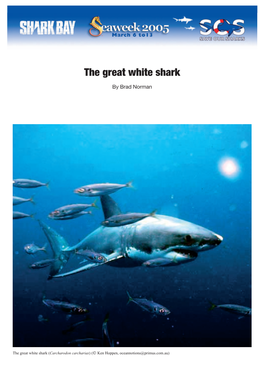 The Great White Shark