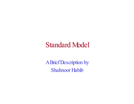 Standard Model