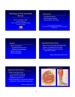 Pathology of Foot and Ankle Nerves