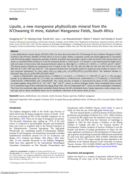 Lipuite, a New Manganese Phyllosilicate Mineral from the N’Chwaning III Mine, Kalahari Manganese Fields, South Africa