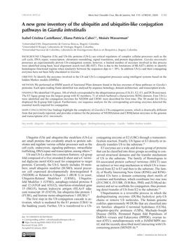 A New Gene Inventory of the Ubiquitin and Ubiquitin-Like Conjugation Pathways in Giardia Intestinalis