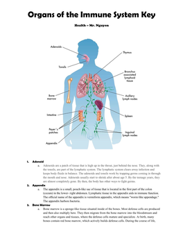 Organs of the Immune System Key