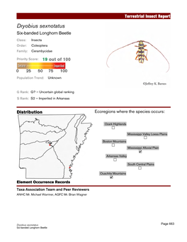 Terrestrial Insect Report Dryobius Sexnotatus        "      Class: Insecta Order: Coleoptera Family: Cerambycidae