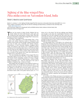 Sighting of the Blue-Winged Pitta Pitta Moluccensis on Narcondam Island, India Shirish S