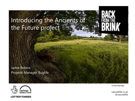 Introducing the Ancients of the Future Project