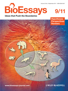 Thermogenesis, Muscle Hyperplasia, and the Origin of Birds