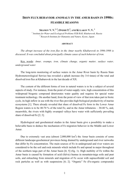 Iron Flux Behavior Anomaly in the Amur Basin in 1990S: Feasible Reasons