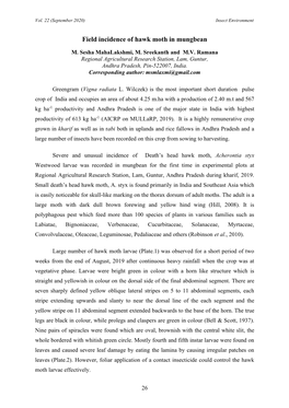 Field Incidence of Hawk Moth in Mungbean