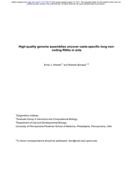 High-Quality Genome Assemblies Uncover Caste-Specific Long Non- Coding Rnas in Ants