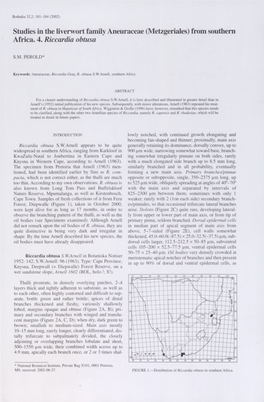 Studies in the Liverwort Family Aneuraceae (Metzgeriales) from Southern Africa