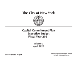 FY 2021 Executive Budget Commitment Plan