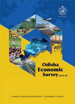 Odisha Economic Survey 2019-20