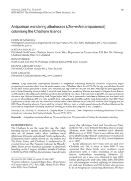 Antipodean Wandering Albatrosses (Diomedea Antipodensis) Colonising the Chatham Islands