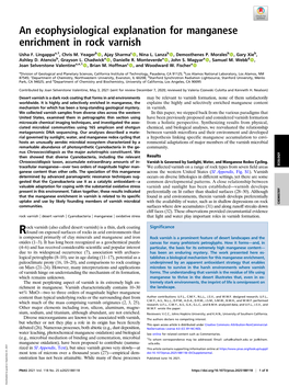 An Ecophysiological Explanation for Manganese Enrichment in Rock Varnish