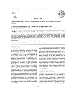 Determination of Key Mortality Factor of Mexican Beetle, Zygogramma Bicolorata Pallister