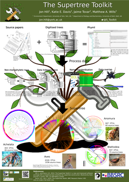 Process Data Supertree