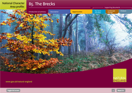 85. the Brecks Area Profile: Supporting Documents