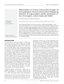 Differentiation of Yersinia Enterocolitica Biotype 1A From