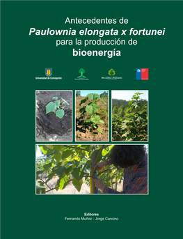 Paulownia Elongata X Fortunei Bioenergía