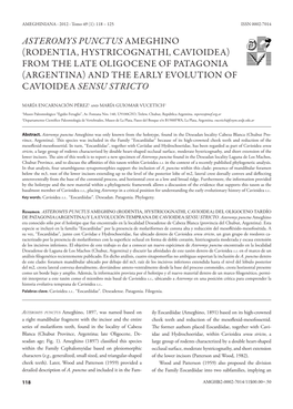 Asteromys Punctus Ameghino (Rodentia, Hystricognathi, Cavioidea) from the Late Oligocene of Patagonia (Argentina) and the Early Evolution of Cavioidea Sensu Stricto